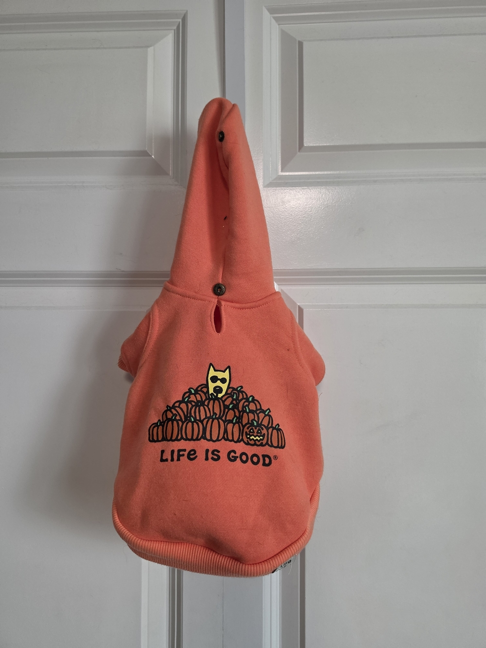 Life is Good Orange Pumpkin Hoodie Jacket for pet small dog or cat